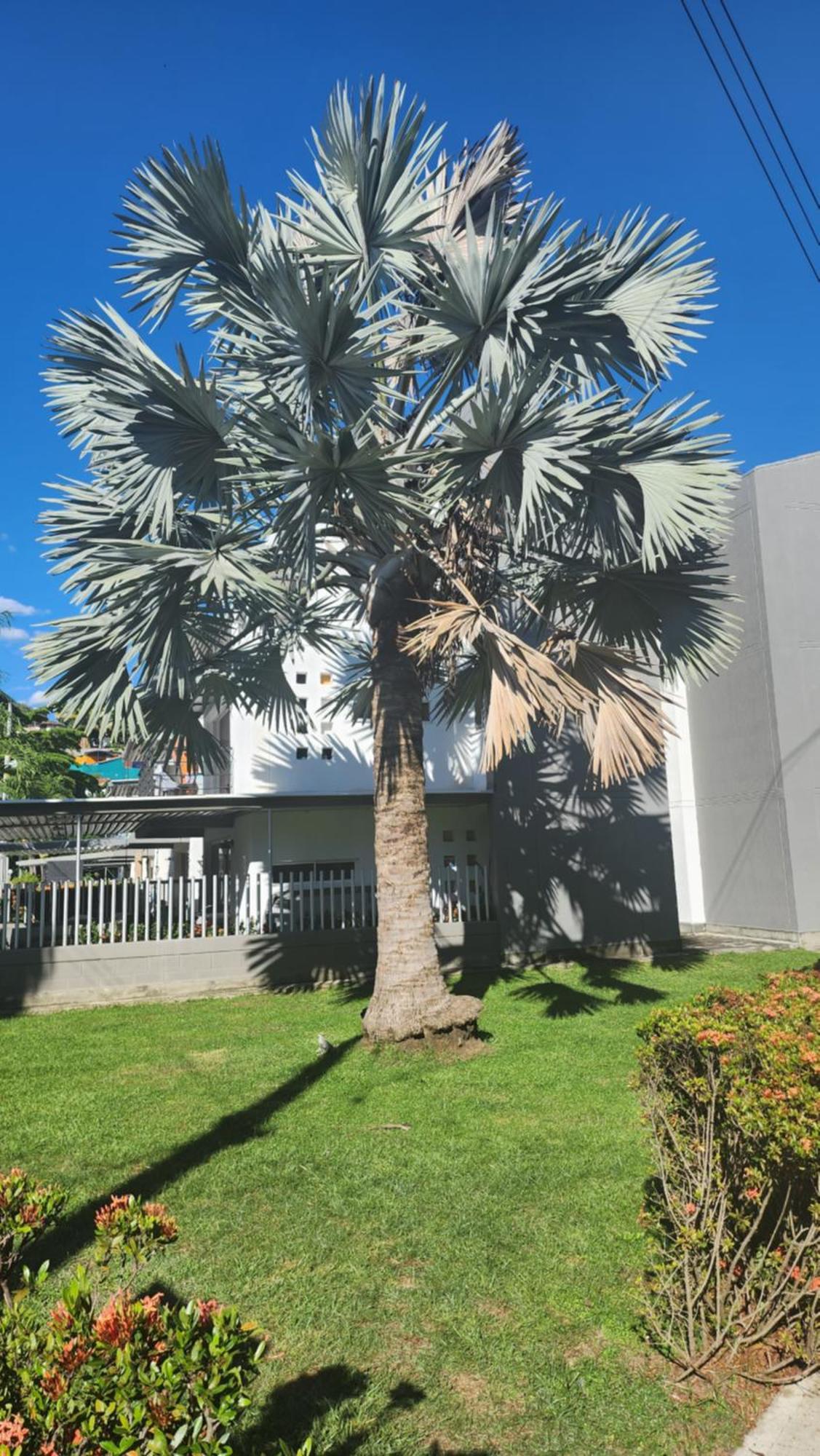 Apartasol Club Ciudadela Santa Fe - Santa Fe De Antioquia Eksteriør billede